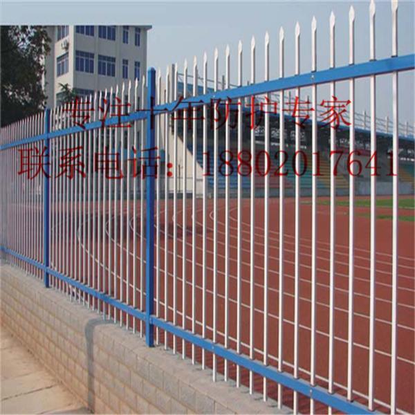 湛江院墙围栏价格 珠海厂房栅栏批发 韶关铁艺护栏供应